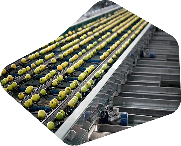 maintenance, machines, agroalimentaires, Agadir